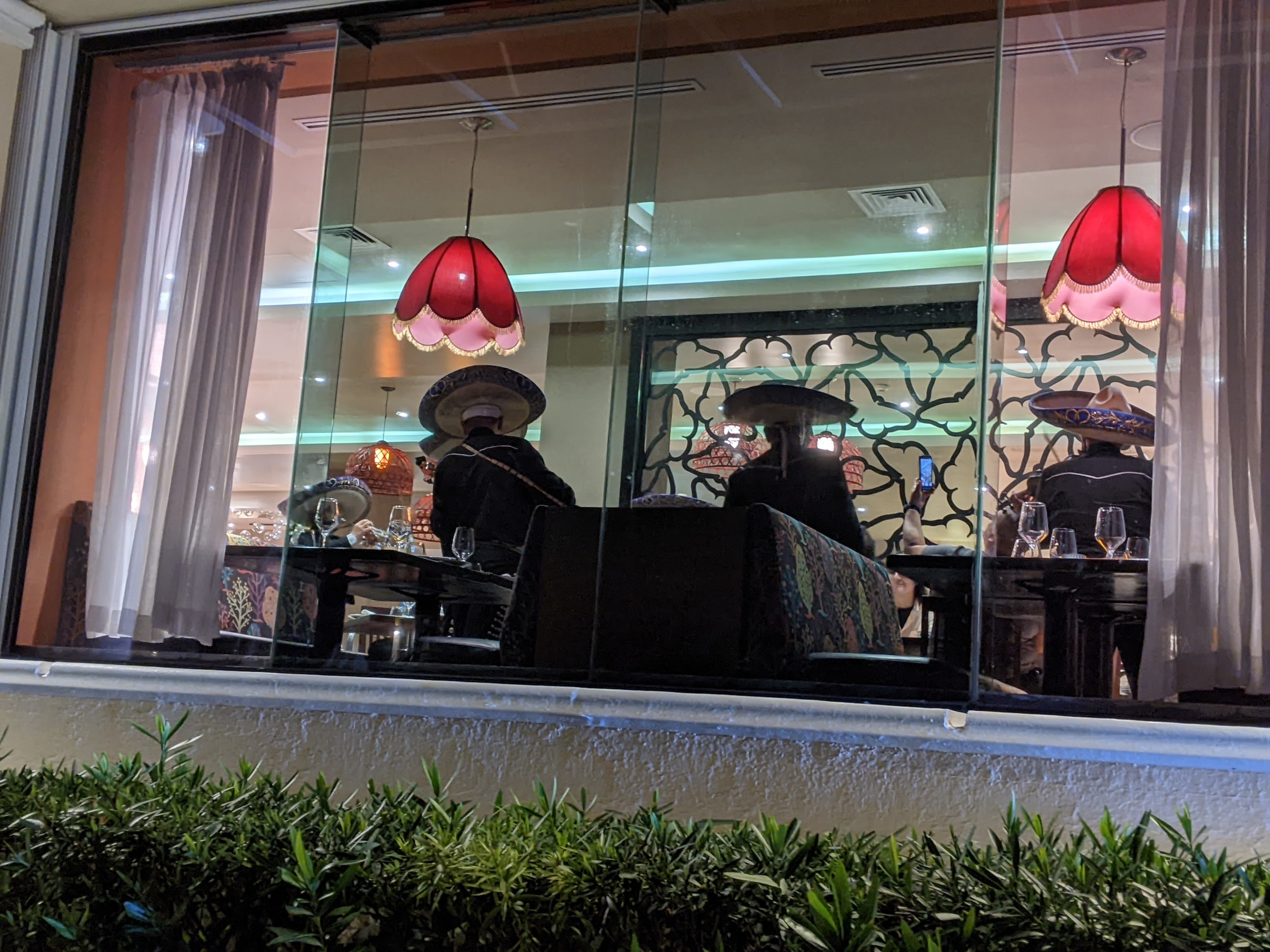 PXL_20251029_012016634.NIGHT.jpg