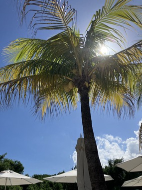 IMG_0695.JPG