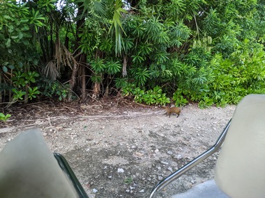 PXL_20251027_225854888.jpg