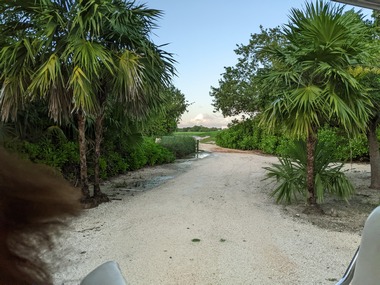 PXL_20251027_225901318.jpg
