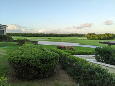 PXL_20251027_230218565.jpg