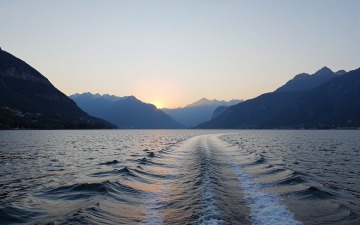 00006-3528356111.jpg
