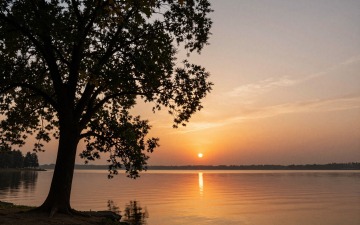 z-image_00040_.jpg