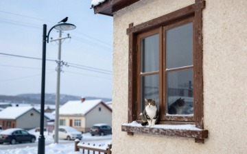 z-image_00044_.jpg