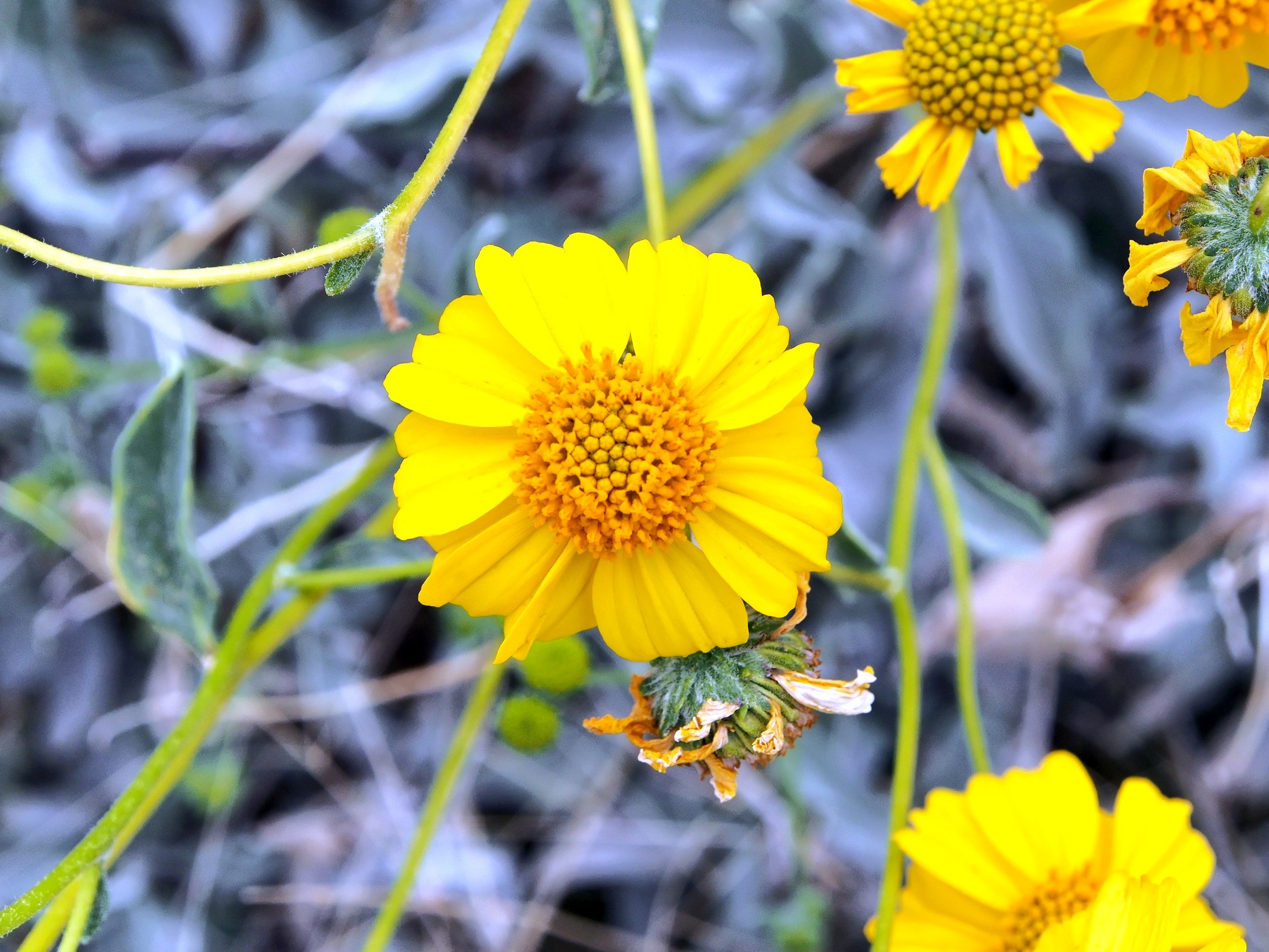 P3100480_d.jpg