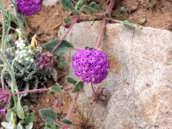 P3100508_d.jpg