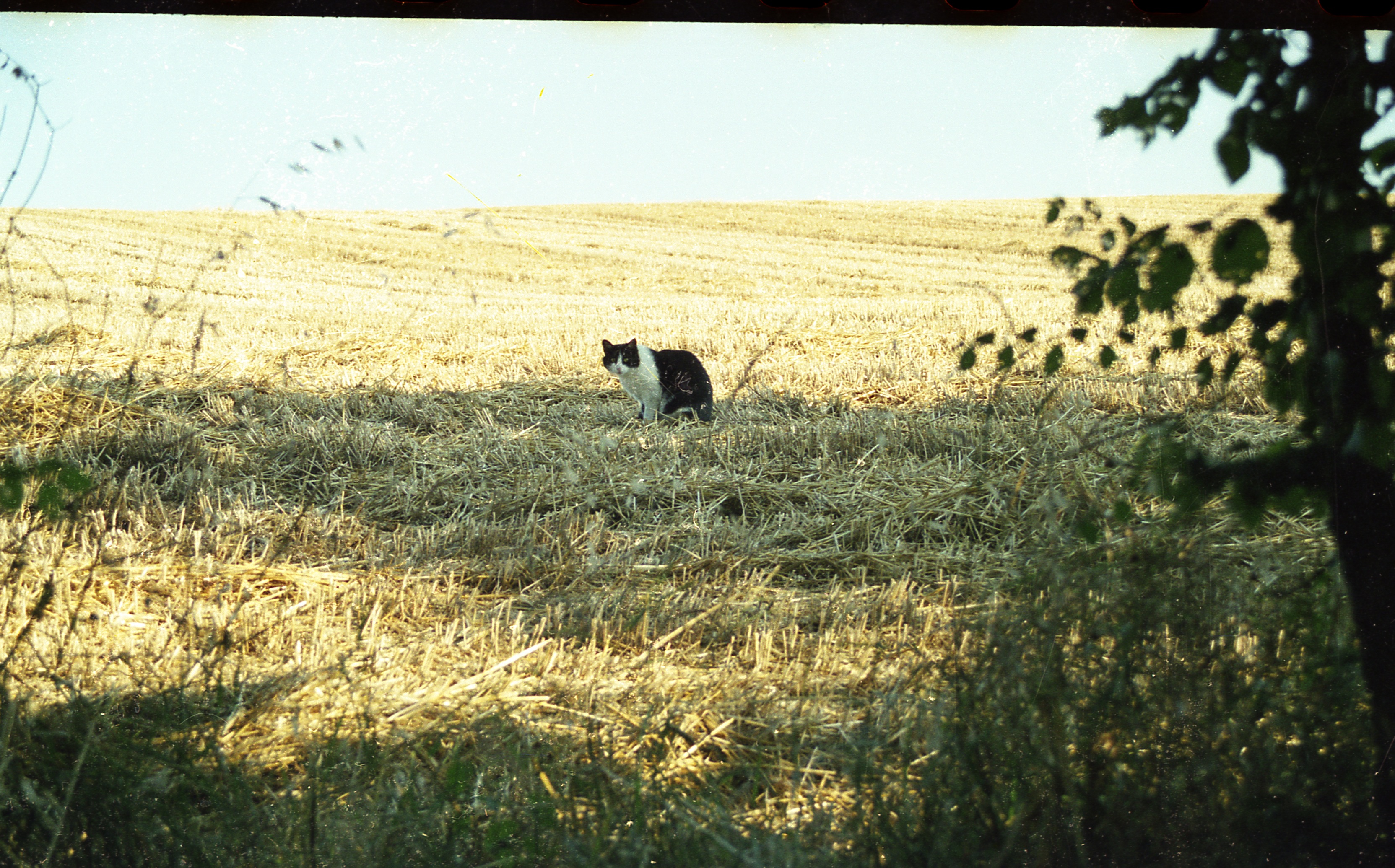 old_photo41.jpg
